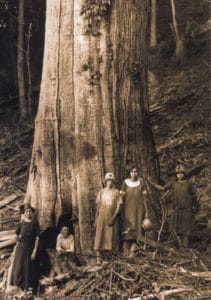 The Shelton Family next to an American Chestnut (Castanea dentata) in the Great Smoky Mountains National Park